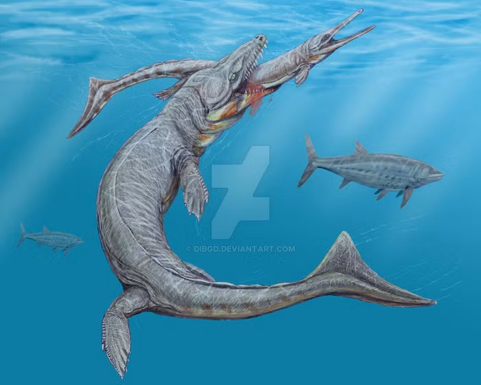 Loài này trông khá giống cá sấu hiện đại. Nó có thể đạt chiều dài tới 5m và có hàm răng vô cùng sắc nhọn.