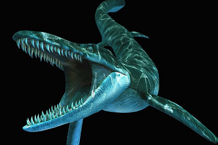 Thức ăn của Tylosaurus khá đa dạng từ cá, cá mập, các loài mosasaur nhỏ… và thậm chí là các loài chim không biết bay.