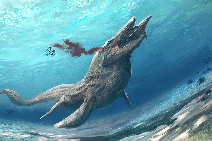  3. Khủng long biển Tylosaurus: Đây là một loài động vật săn mồi đáng sợ nhất sống ở cuối kỷ Phấn Trắng.