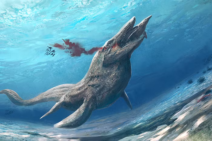  3. Khủng long biển Tylosaurus: Đây là một loài động vật săn mồi đáng sợ nhất sống ở cuối kỷ Phấn Trắng.