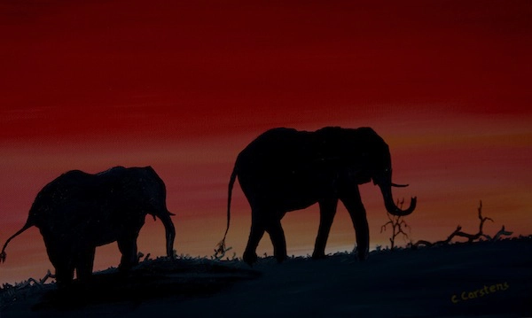 Ngoài ra cũng có thêm một số loài đặc trưng riêng như đà điểu châu Phi, linh dương sừng kiếm.... Đây cũng là sa mạc duy nhất trên thế giới có loài voi sinh sống.