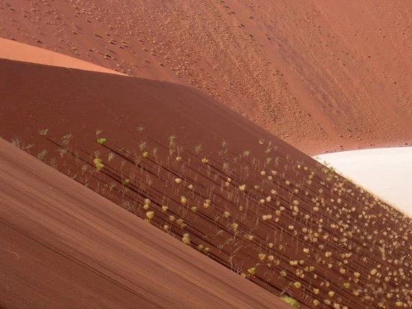 Đây cũng là sa mạc ven biển duy nhất trên thế giới với những đụn cát lớn chịu ảnh hưởng của sương mù.