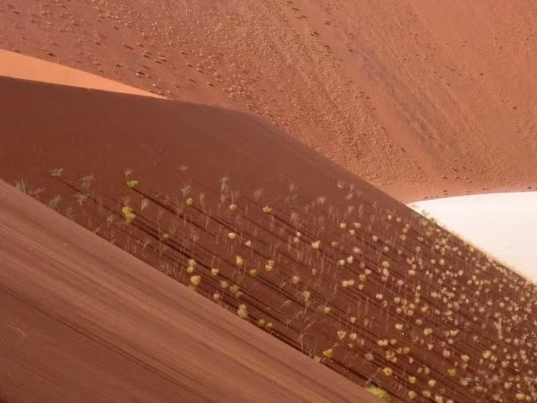 Đây cũng là sa mạc ven biển duy nhất trên thế giới với những đụn cát lớn chịu ảnh hưởng của sương mù.