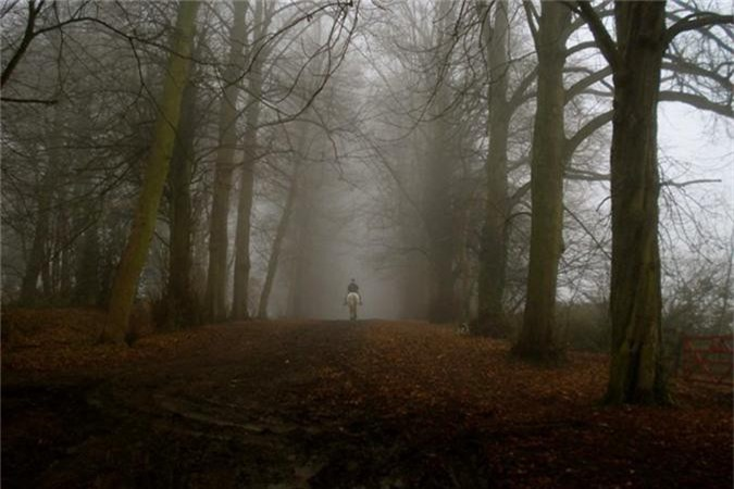 Những người khác lại tin rằng đây là kết quả của vụ thảm sát năm 1948, với 20 người chết trong rừng vào sáng ngày 1/11.