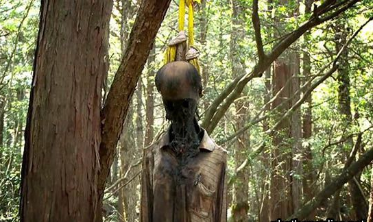  3. Rừng Tự sát Aokigahara ở Nhật Bản: Nằm thanh bình ở chân núi Phú Sĩ, rừng Aokigahara là nơi phổ biến thứ hai trên thế giới về vụ tự tử (sau Cầu Cổng Vàng).