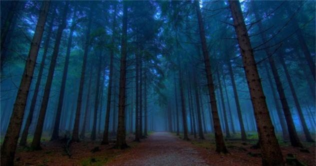 Những tiếng la hét đó được cho là của một khách đi đường bị dân làng bắt trong thế kỷ 18, và hồn ma của họ dường như vẫn giữ mối hận thù từ ngày đó.