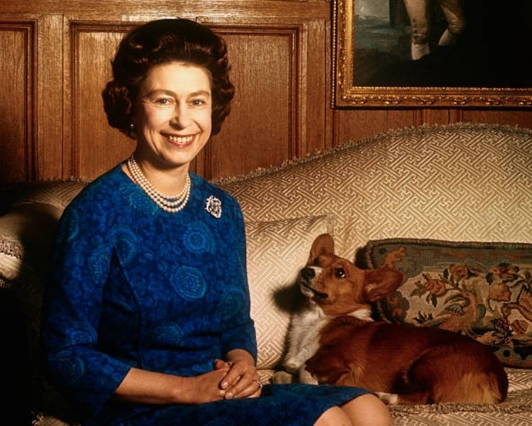 8. “Ta phải nhìn thấy thì mới tin”. 