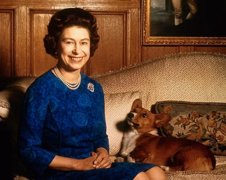 8. “Ta phải nhìn thấy thì mới tin”. 