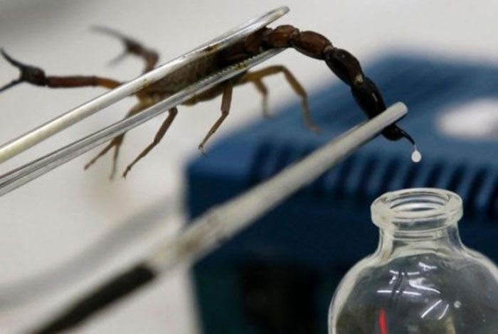 Chất lỏng đắt nhất thế giới: 1 lít có giá khoảng 10,3 triệu USD (khoảng 40 tỉ đồng/lít) và từng giọt đều được vắt bằng tay nhân tạo.