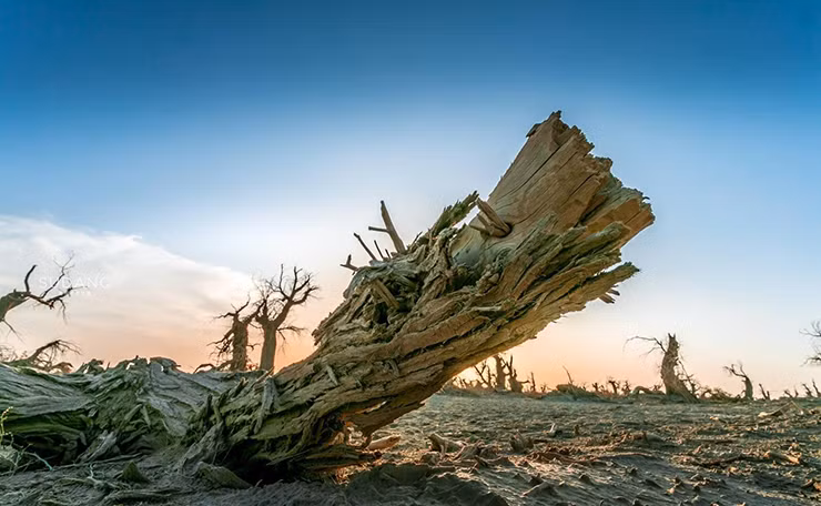 Sa mạc này dù có thay đổi như thế nào thì nó vẫn phản ánh chân thực chất tinh thần của người dân Tân Cương, những người có thể chịu đựng gian khổ.