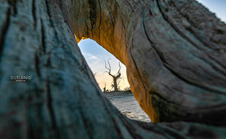 Sự hình thành của Khu rừng quỷ có mối liên hệ với sông Tarim.