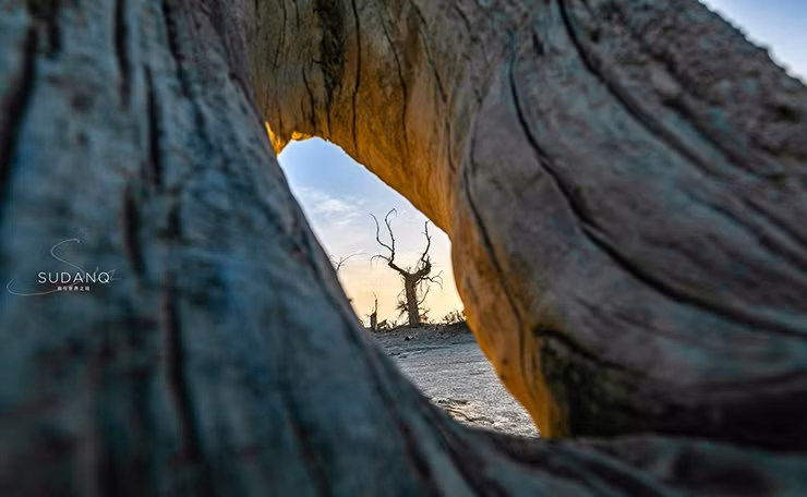 Sự hình thành của Khu rừng quỷ có mối liên hệ với sông Tarim.