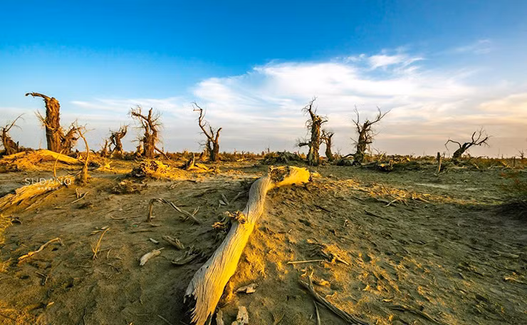 Sông Tarim bắt nguồn từ dãy núi Thiên Sơn và dãy núi Karakoram, chảy dọc theo rìa phía bắc sa mạc Taklimakan, đi ngang qua các khu vực phía nam của Aksu, Shaya, Kuqa, Luntai, Korla, Yuli … và cuối cùng chảy vào thành phố, tạo nên hồ Taitma.
