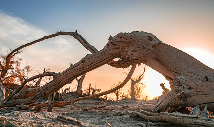 Tuy nhiên, đối với những người yêu thích du lịch mạo hiểm, Khu rừng quỷ là một nơi khiến họ rất thích thú. Một số người từng tới đây nhiều lần vì thích sự cô độc của nơi này. .