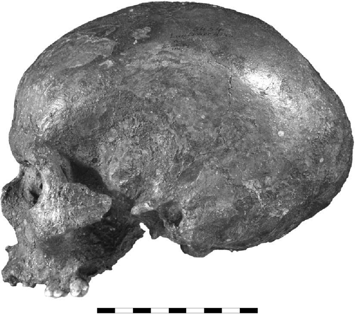 Nhóm nghiên cứu đẫn dầu bởi Cơ quan Quản lý hang động Cộng hòa Czech đã sử dụng tới 200 ảnh chụp CT của người hiện đại và từ các nhóm dân cư khác nhau trong khu vực được tìm thấy trong các cuộc khảo cổ trước, để tìm kiếm những chi tiết mà hài cốt không tiết lộ ví dụ như dự đoán màu tóc, da...