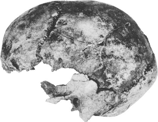 Cô gái 17 tuổi sống trong thời kỳ Aurignacian, một phần của thời kỳ đồ đá cũ, là một trong những người Homo sapiens cổ nhất được tìm thấy ở châu Âu.