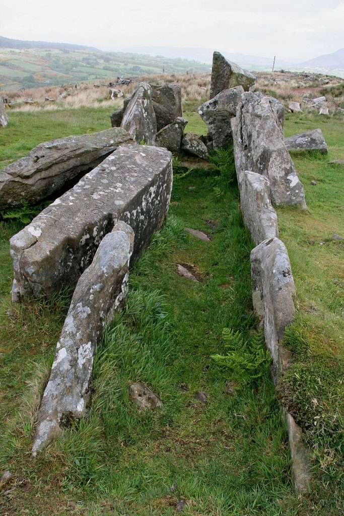 Sau khi được chôn cất, hắn đội mồ sống dậy ngay ngày hôm sau. Hắn bắt đầu tìm kiếm con mồi để uống máu và sống dậy. Một sát thủ được thuê để giết hắn những không thành công.