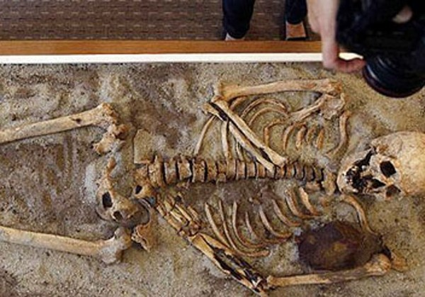 Những ma cà rồng của Ba Lan có điểm khác biệt với những vùng khác. Ở Ba Lan, ma cà rồng thường rình mò người sống, rồi tự ăn thịt của mình cùng quần áo đã bị đem thiêu. Thậm chí, ma cà rồng ở đây không đi cắn người để biến người đó thành ma cà rồng mà là chúng được sinh ra.