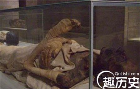 Trong quá trình làm sạch xương, các nhà khảo cổ tình cờ tìm thấy một xác ướp nữ có bụng hơi phình, sau khi xử lý bằng phương pháp quét hiện đại thì phát hiện xác ướp cung nữ mang thai và thai nhi trong bụng đã thành hình.