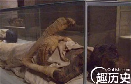 Trong quá trình làm sạch xương, các nhà khảo cổ tình cờ tìm thấy một xác ướp nữ có bụng hơi phình, sau khi xử lý bằng phương pháp quét hiện đại thì phát hiện xác ướp cung nữ mang thai và thai nhi trong bụng đã thành hình.