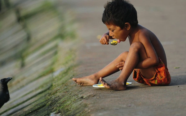 Kịch bản xấu nhất là cuộc chiến tranh hạt nhân toàn diện nổ ra giữa Mỹ và Nga. Hậu quả sẽ là hơn năm tỷ người sẽ bị chết đói trong hai năm sau đó. Ngay cả một cuộc xung đột quy mô nhỏ giữa Ấn Độ và Pakistan cũng có thể dẫn đến nạn đói khắp thế giới.