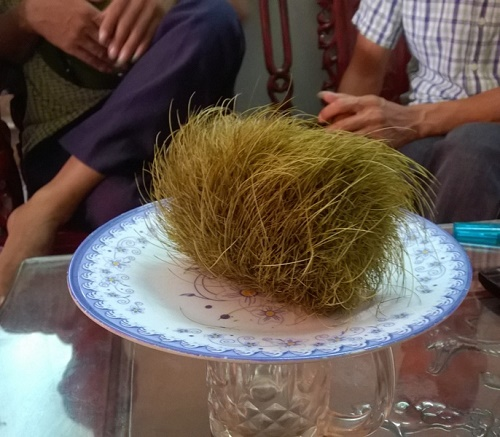 Tuy nhiên, trong Đông Y không có định nghĩa nào về "cát lợn" hay "trư sa", và Đông Y cũng không sử dụng bất kỳ vật gì trong dạ dày của lợn để làm thuốc. 