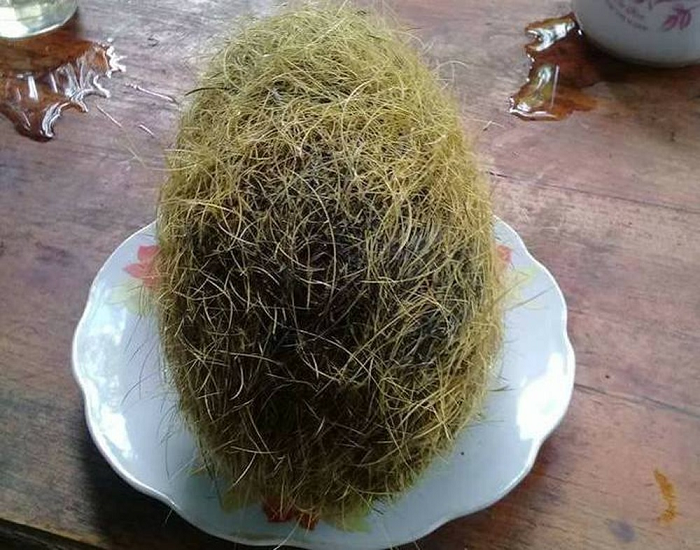 Người dân không nên tin vào những thông tin thổi phồng, không có căn cứ như vậy. 