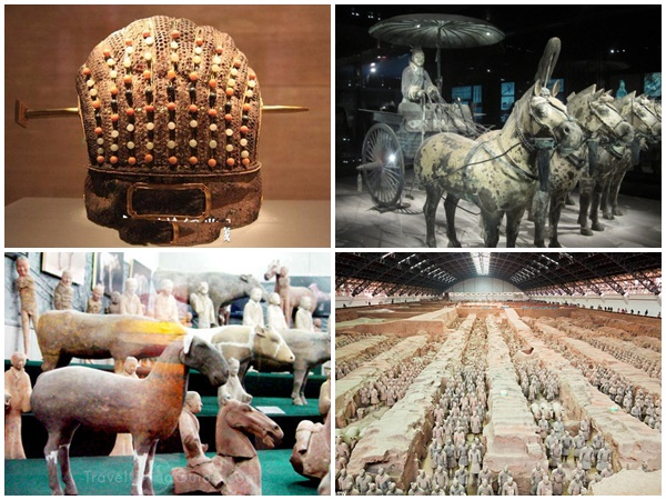 Theo các nhà nghiên cứu, chiều cao tiêu chuẩn này giúp người cưỡi có tầm quan sát tốt hơn trong đám đông, đặc biệt khi phải chiến đấu trên chiến trường.