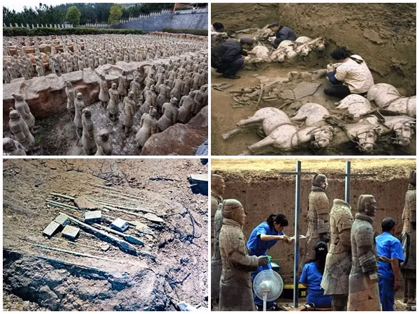 “Vai trò quan trọng của ngựa trong thời Tần được thể hiện rõ nét nhất khi chúng xuất hiện trong các lăng mộ của giới tinh hoa nhà Tần", nghiên cứu cho biết.