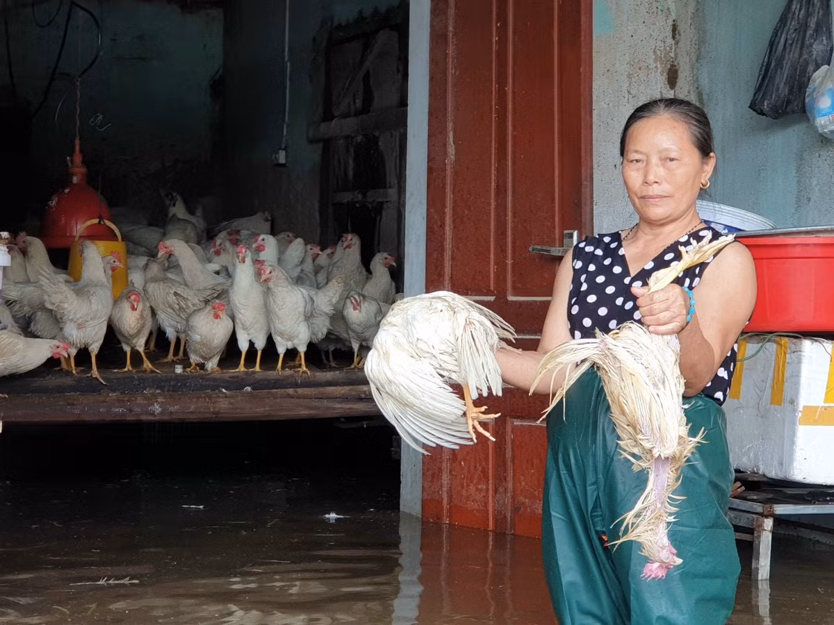Nghe An: Mua lu lam 7 nguoi chet, xom lang chim trong bien nuoc-Hinh-5
