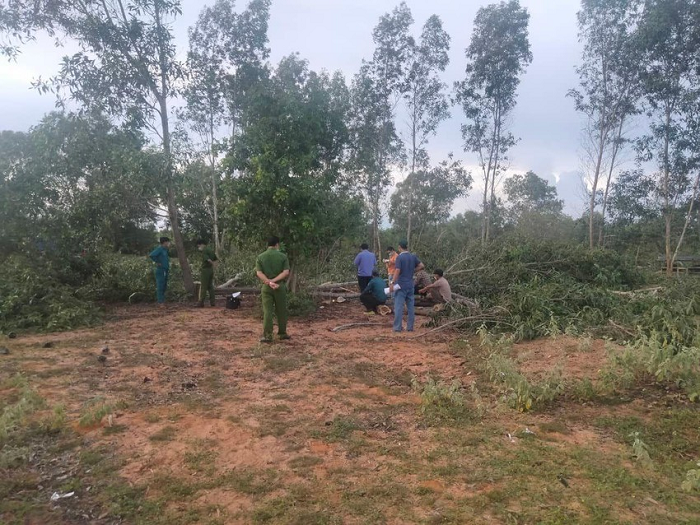  Hy hữu: Con trai cưa cây ngã trúng mẹ tử vong: Chiều 5/9, bà ĐTM (54 tuổi) cùng con trai ngụ xã Hàm Đức, huyện Hàm Thuận Bắc đến xã Thiện Nghiệp, TP Phan Thiết cưa cây keo lá tràm. Trong lúc cưa, một thân cây keo lá tràm khá lớn bất ngờ ngã đúng nơi bà M đang đứng khiến nạn nhân bị thương rất nặng, được mọi người đưa đi cấp cứu nhưng tử vong. Vụ việc đang được điều tra.