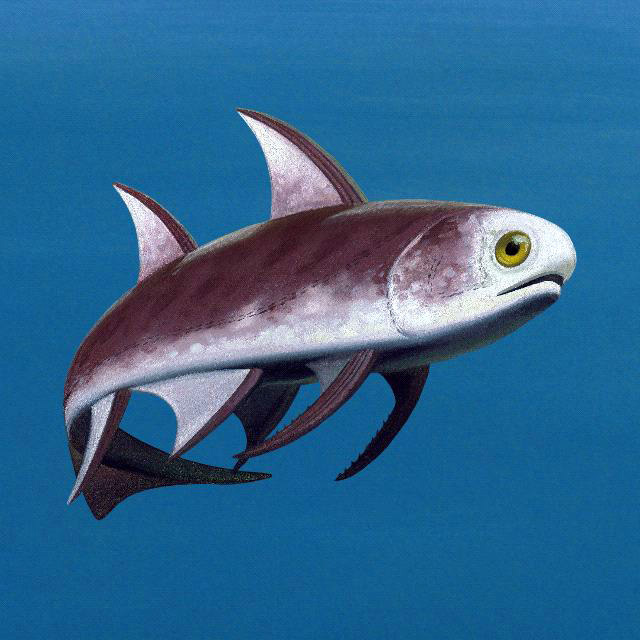 Điều này giúp các nhà khoa học đánh giá chi tiết hơn tốc độ tiến hóa qua các thời kỳ cũng như hiểu rõ hơn các loài xa xưa nhất đã biến đổi như thế nào.