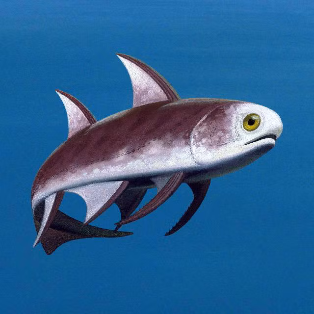 Điều này giúp các nhà khoa học đánh giá chi tiết hơn tốc độ tiến hóa qua các thời kỳ cũng như hiểu rõ hơn các loài xa xưa nhất đã biến đổi như thế nào.