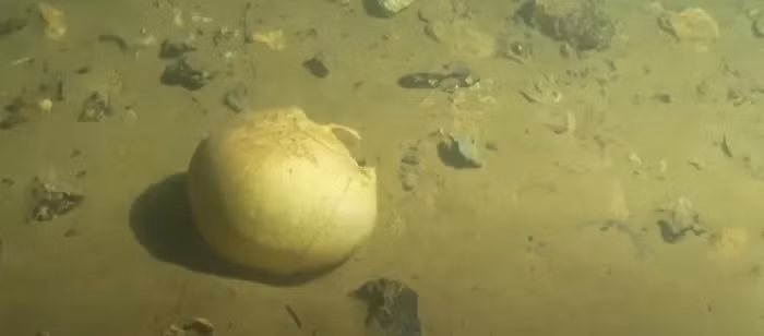 Cảnh sát mời chuyên gia khảo cổ tham gia điều tra. Kết quả cho thấy những bộ xương phụ nữ dưới hồ Lục Quật là người sống ở giai đoạn những năm cuối của nhà Thanh.