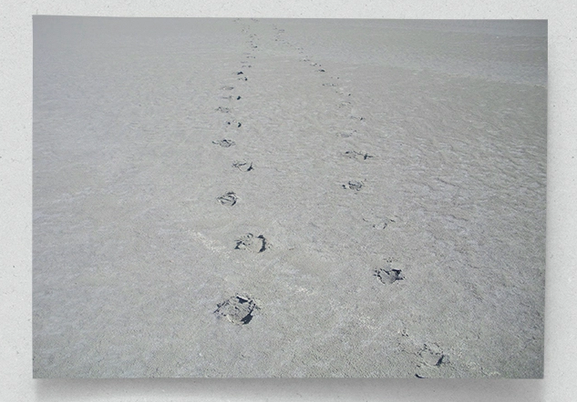 Tuy nhiên dần theo thời gian, hồ đã cạn khô do biến đổi khí hậu mà Trái Đất gặp phải vào cuối kỷ băng hà. 