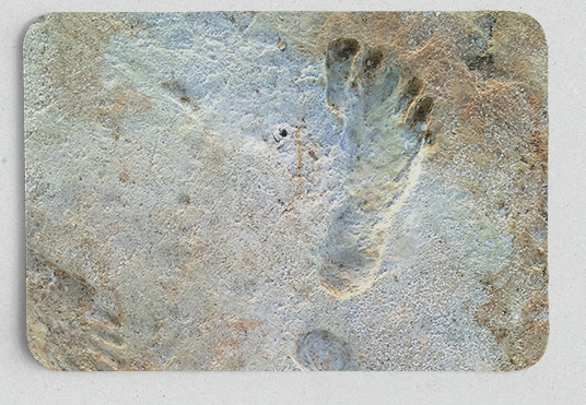 Tuy nhiên, dấu chân không hoàn toàn biến mất, mà được lưu lại nhờ một lớp bùn nằm bên dưới. "Bên dưới lớp cát là một lớp bùn, và chúng lưu trữ các dấu tích giống như khi ta in mực lên mặt giấy", Duke nói.