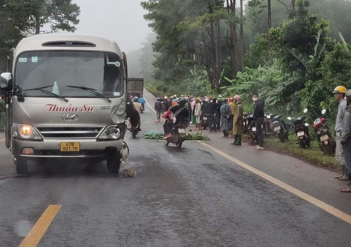  Xe khách tông 2 học sinh thương vong trên đường đến trường: Vụ tai nạn xảy ra vào sáng 26/9 cùng ngày tại Km 1717+500 đường Hồ Chí Minh (đoạn qua xã Cư Né, huyện Krông Búk, tỉnh Đắk Lắk). Vào thời điểm xảy ra tai nạn, xe khách mang BKS: 47B - 001.78 của nhà xe Thuần Sự do tài xế Nguyễn Quang Châu (SN 1982, ngụ huyện Ea H’leo, tỉnh Đắk Lắk) điều khiển đã tông vào xe máy mang BKS: 47AB - 324.18 do em Huỳnh Nguyên P. (SN 2007) điều khiển chở theo em Nguyễn Thị Bích T. (SN 2006, cùng ngụ xã Cư Né) đi theo hướng ngược lại. Cú tông mạnh khiến em P. tử vong tại chỗ, em T. bị thương nặng được người dân đưa đi cấp cứu. Tại hiện trường, chiếc xe khách nằm lấn sang phần đường bên trái.