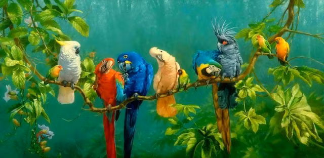 Tai sao chim di cu phai “nhoc cong” bay ve phuong Bac khi het mua lanh?-Hinh-4