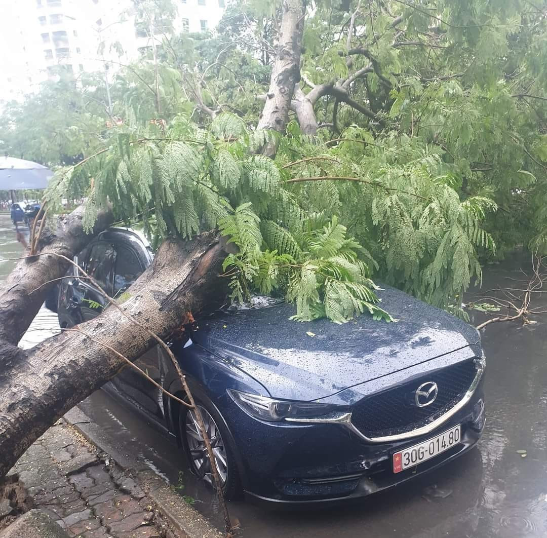  Xe Mazda CX5 bị cây đổ đè trúng trong trận mưa giông lớn: Ngày 20/9, đại diện Công an phường Trung Hòa (Cầu Giấy) cho biết, đơn vị đang phối hợp với các lực lượng chức năng để xử lý hiện trường chiếc xe Mazda CX5 bị cây cổ thụ đè trúng. Theo đó, vào khoảng 15h, khi đang đỗ tại khu vực ngã tư Hoàng Ngân – Hoàng Đạo Thúy, chiếc xe Mazda CX5 đã bất ngờ bị cây muồng đổ, đè trúng ngang thân, khiến chiếc xe này bị móp méo phần trần xe. Rất may, tài xế không có trong xe tại thời điểm xảy ra vụ việc nên không có thương vong về người.