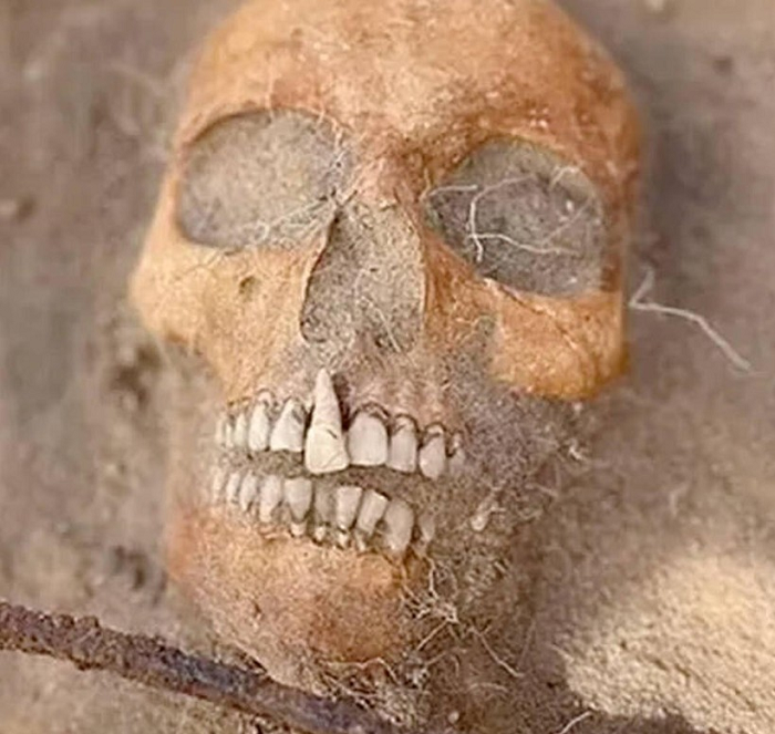 Việc đặt chiếc liềm xung quanh thi thể của những người đã khuất cũng được giải thích tương tự. Chúng có tác dụng bảo vệ người sống khỏi xác sống, nhưng cũng được dùng như một cách để bảo vệ người đã khuất khỏi các thế lực xấu xa.