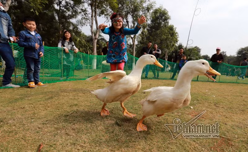 Trò chơi bịt mắt bắt vịt được các bé hưởng ứng nhiệt tình