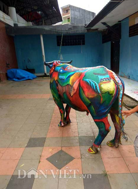 Chính vì vậy để tri ân những chú trâu của gia đình, nhiều người đã trang trí những chú trâu thành những tác phẩm nghệ thuật di động, nhìn rất lạ mắt và đầy sáng tạo.