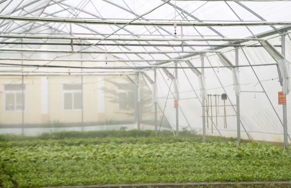  Nhà lồng được thiết kế rất chắc chắn bằng khung thép mạ kẽm, có mái che mưa, che nắng, có thể chịu được sức gió cấp 9-10 ở biển. Xung quanh được bao bọc bởi lưới chống côn trùng. Lưới chống nắng giúp điều hòa nhiệt độ trong vườn tạo điều kiện cho rau phát triển