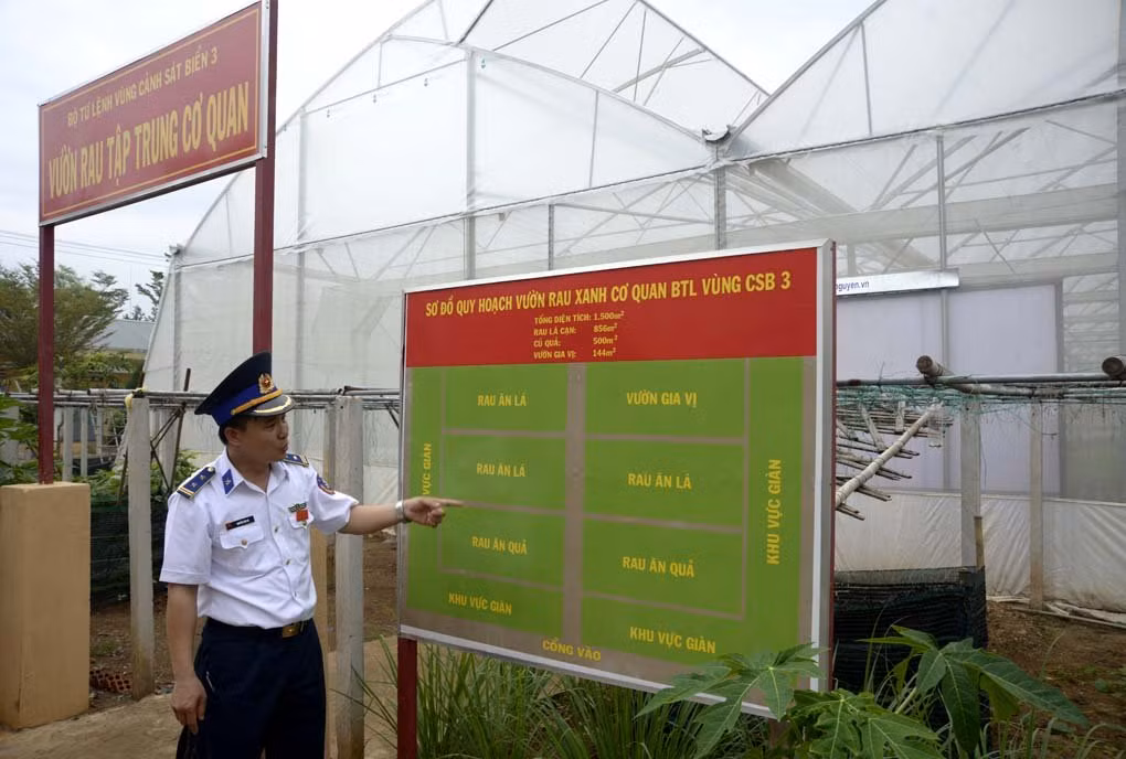 Trung tá Nguyễn Văn Hà, Chủ nhiệm Hậu cần cho biết, mô hình này có thể trồng đủ các loại rau theo mùa vụ như: cải canh, muống, dền, mồng tơi… 