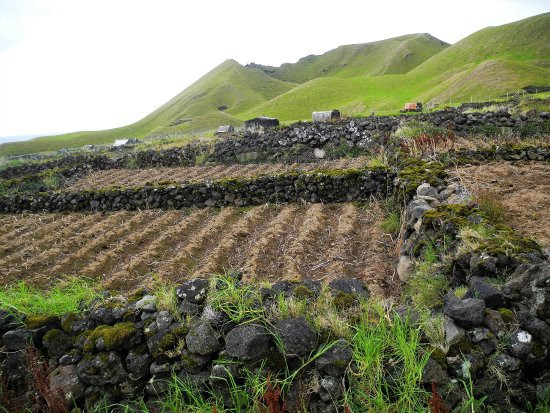 Người dân ở đây hầu hết sinh sống bằng nghề nông với nông sản chủ đạo là khoai tây. Họ có thể tự cung cấp đủ lương thực nên không cần đến nhập khẩu. Ảnh: Trip Advisor.