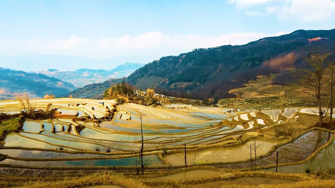 Đặc biệt, vào mùa thu hoạch thì cả ngọn núi được phủ lên bộ áo màu vàng quyến rũ của những bông lúa chín