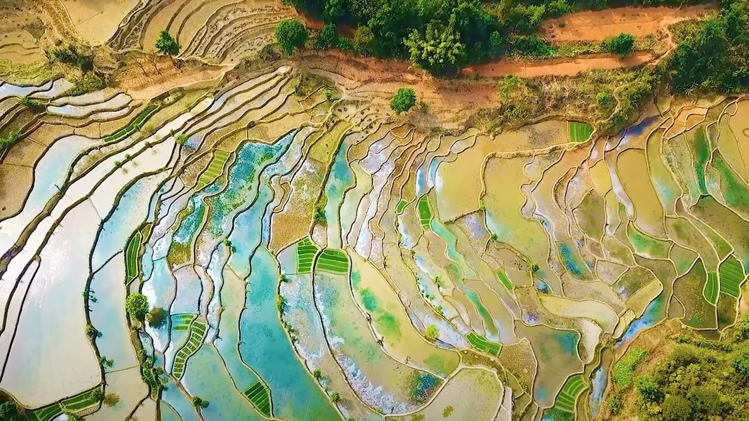 Dưới ánh ánh nắng, màu vàng óng ánh của ruộng bậc thang phản chiếu lung linh khiến những ai đã một lần chiêm ngưỡng đều phải nao lòng