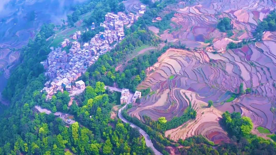 Để chiêm ngưỡng cảnh đẹp nhất là lúc 30 phút trước khi mặt trời lặn, cũng là lúc những thửa ruộng có màu sắc kỳ ảo nhất 