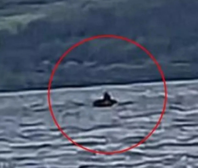 Ngày 17/8, Steve Valentine đến từ Urmston ở Manchester đang đi thuyền cùng với gia đình thì bất ngờ nhìn thấy một hình dạng màu đen trên mặt nước. Steve nhanh tay chụp được một bức ảnh từ xa và hoài nghi sinh vật đó là quái vật hồ Loch Ness.