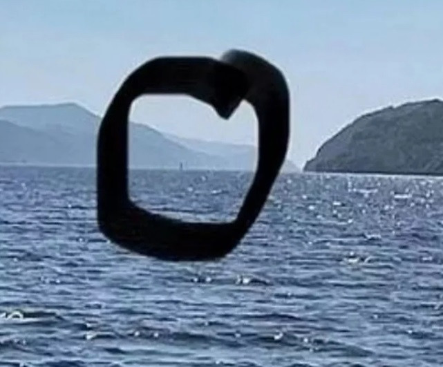 Trước đó, ngày 31/5, một người tên Ceci đến từ Mỹ bất ngờ nhìn thấy sinh vật bí ẩn nghi là quái vật hồ Loch Ness đột ngột trồi chiếc cổ dài lên mặt nước. Sinh vật này biến mất nhanh chóng chỉ sau vài giây xuất hiện.